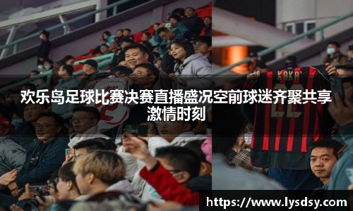 欢乐岛足球比赛决赛直播盛况空前球迷齐聚共享激情时刻